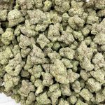 White Slurpee Strain