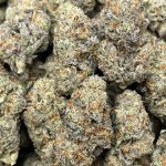 White Truffle Strain