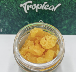 Whole Melt Extracts Tropical Edition - Image 3