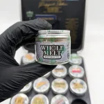 Whole Melt Extracts Runtz Runway Live Resin Sugar